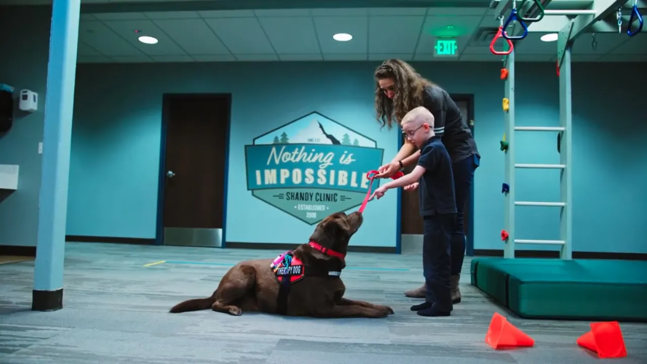 Child in animal assisted therapy